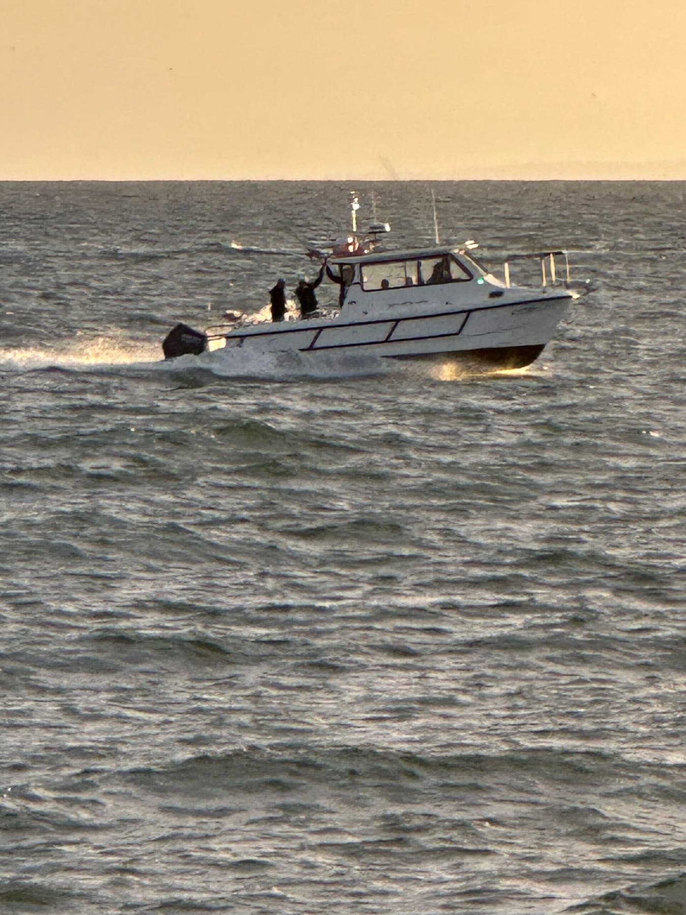 The Gotta Love Fishing charter boat cruising Port Phillip Bay in golden evening light
