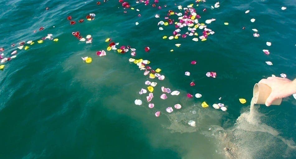 Flower petals floating on the water after a scattering ceremony